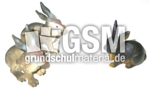 Hasen2+1.jpg
